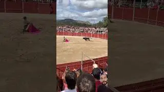 Alcora: La Tradici&oacute;n de los Toros que Desaf&iacute;a a la Muerte. #toros #torospopulares #torosbravos
