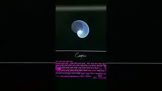 Amazing Graphics Animation Using Python Turtle 😎 | Python Tutorial #shorts