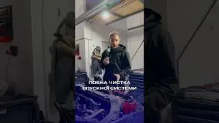 Повна чистка впускної системи та клапана EGR👌