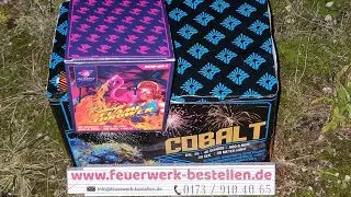 F2 ARGENTO CAKE - COBALT! VS. F2 ALBERT CAKE - FLAMINGO FLAME THROWER! - STARKE NEUHEIT/BATCH 2025!!