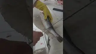 Como eu gosto de limpar a pescadinha