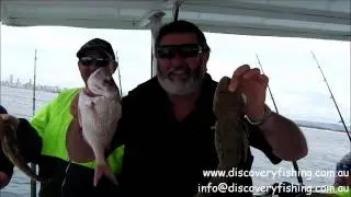 Discovery Fishing Charters Gold Coast