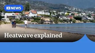 Why a mild summer's day in NSW counts as a 'severe' heatwave in Tasmania | ABC News