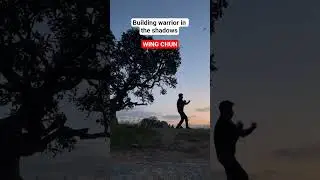 Shadow Practice #kungfu #wingchun