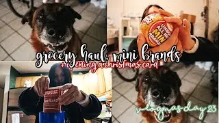 playing w alvin, grocery haul, mini brands + getting a christmas card | VLOGMAS | Jessmas Day 23