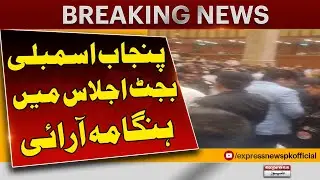 Pmln Aur PTI Arkan Ki Larai | Halat qabu Say Bahir Ho Gaye | Budget 2024-25 | Pakistan News