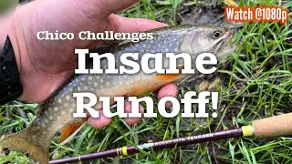 INSANE CREEK RUNOFF! #tenkara