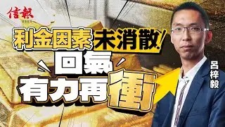呂梓毅﹕利金因素未消散 回氣有力再衝｜呂梓毅｜金銀價格｜特朗普｜聯儲局｜去美元化｜美債｜地緣政治｜避險工具｜資產配置｜牛市｜日圓｜貨幣貶值【論盡熱話系列】