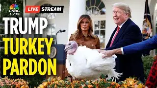 Trump Turkey Pardon LIVE: US President And FLOTUS Melania On National Thanksgiving Turkey | N18G