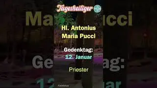 Tagesheiliger || Hl. Antonius Maria Pucci - Priester|| Kathfokus