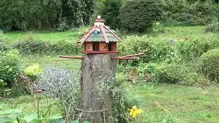 Futterhaus Vogelf&uuml;tterung August 2024