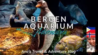 Visiting Bergen Aquarium, Norway