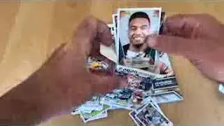 Panini NFL Sticker and Card Collection 2020