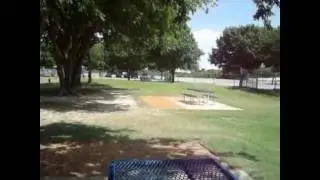 Apache & Pixie at the Dog Park