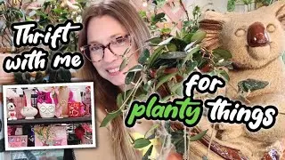 Thrift With Me For Planty Things | Shopping For Planters and Plant Accessories Plus a Haul
