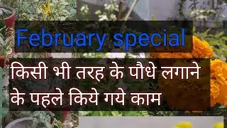 organic vegetables, kitchen gardening flowering plants, garden work in February month