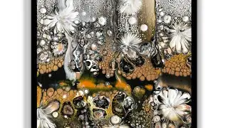 STUNNING 🤩 WHAT A SUPRISE LOVELY LACE AND SUPER CUTE CELLS~Experiment day MUST SEE 🤩