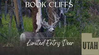 Utah Limited Entry Deer - Book Cliffs