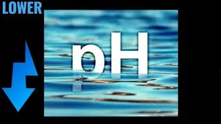 ~How to lower the PH-value in your aquarium~ product recommendation*
