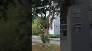 נוף יפהפה על הכביש בזמן נסיעה