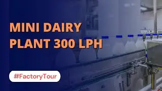 Mini Dairy Plant Small Scale 300 LPH  | Milk Processing Plant | Dairy Processing plant