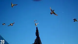 Solo Kayak Hunt in HIGH WIND | Duck Hunting with COOT Decoys