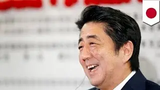 Japan PM Shinzo Abe&rsquo;s political party wins house majority in sudden electoral vote