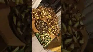 C&oacute;mo secar hongos de Pino . suillus granulatus