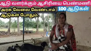 100 ஆடுகள் மேய்ச்சலில் வளர்த்து அசத்தும் ஆசிரியை.