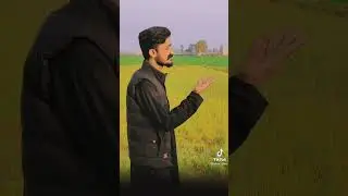 Sindhi Deshi Poetry Tiktok Viral Attitude 2022 Shan Shar Deshi Attitude Tiktok Viral Poetry