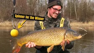 Karpfenangeln im Fr&uuml;hjahr bei kalten Temperaturen | Live-Biss, Spotwahl & Rig-Tipps am Donau-Altarm