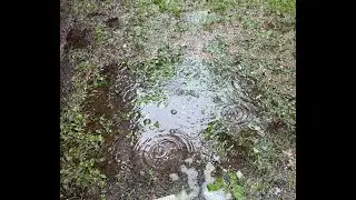 Spiral (Waldorf Streichfett)