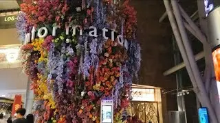 Inside Langham Place in Mong Kok 