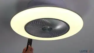Globo Kello remote control fan, silver and white