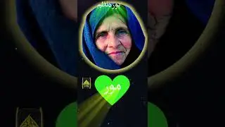 Mor pashto mazam pashto naat زما جنت زما کعبہ یی موری  Muhammad rehan faroqi 2025pashto  naat  nazam