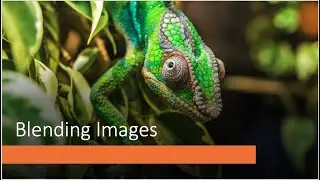How to blend images with gradient layer masks in photoshop
