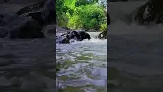 Healing for Your Mind #nature #relax #shorts #waterasmr