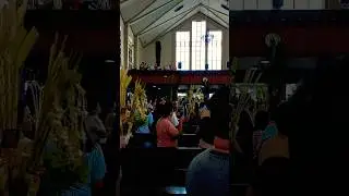 Palm Sunday Inside Church Manila Philippines #shorts #church #philippines #viral