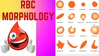 RBCs Morphology| Lecture -4| Hematology| Red Cell Inclusions Bodies| Urdu/Hindi #rbc #hematology