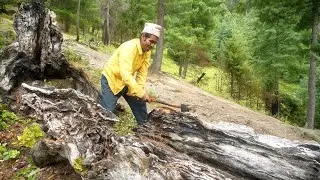 dharme brother's organic lifestyle in the village || rural Nepal || life in rural Nepal ||