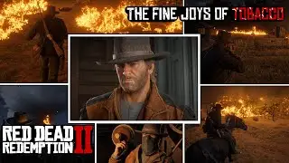 Pretending to Deliver… Planning to Burn | RDR2 gameplay