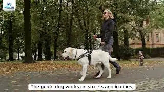 🌾🐾 ANIMALS AT WORK &ndash; KHI ĐỘNG VẬT C&Ugrave;NG CON NGƯỜI L&Agrave;M VIỆC 🐕🚉