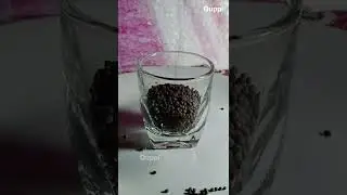 Amazing Art Work | Amazing Bottle | Quppi | Quppi Craft Studio | 5 minit Craft Idea | Bottle Art
