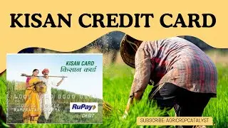 KISAN CREDIT CARD I KCC I TOP QUESTIONS