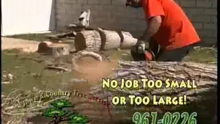 Town and Country Tree Service Barstow, Apple Valley, Hisperia, Victorville California