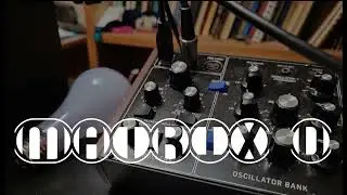 Matrix D - One Producer / One Synth (Behringer Model D)
