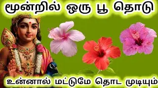மூன்றில் ஒரு பூ தொடு உன்னால் மட்டுமே தொட முடியும் 🌟 நான் உன் முருகன் murugan quotes 