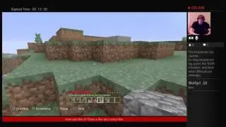 MINECRAFT -_-  with rebelson122 and MrBear