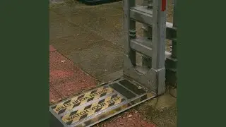 Fare Dodger