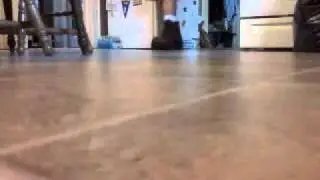 walking in build-up boot w/shorts